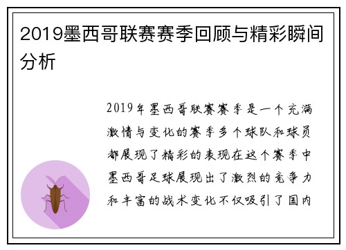 2019墨西哥联赛赛季回顾与精彩瞬间分析