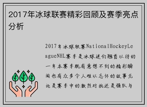 2017年冰球联赛精彩回顾及赛季亮点分析
